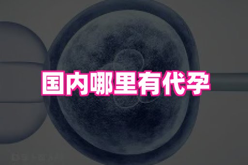 69助孕网 1