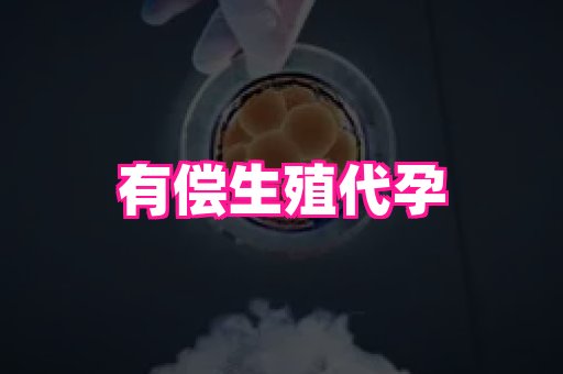 69助孕网 2