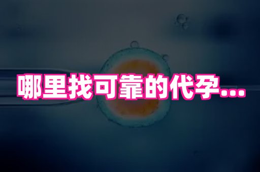 69助孕网 3